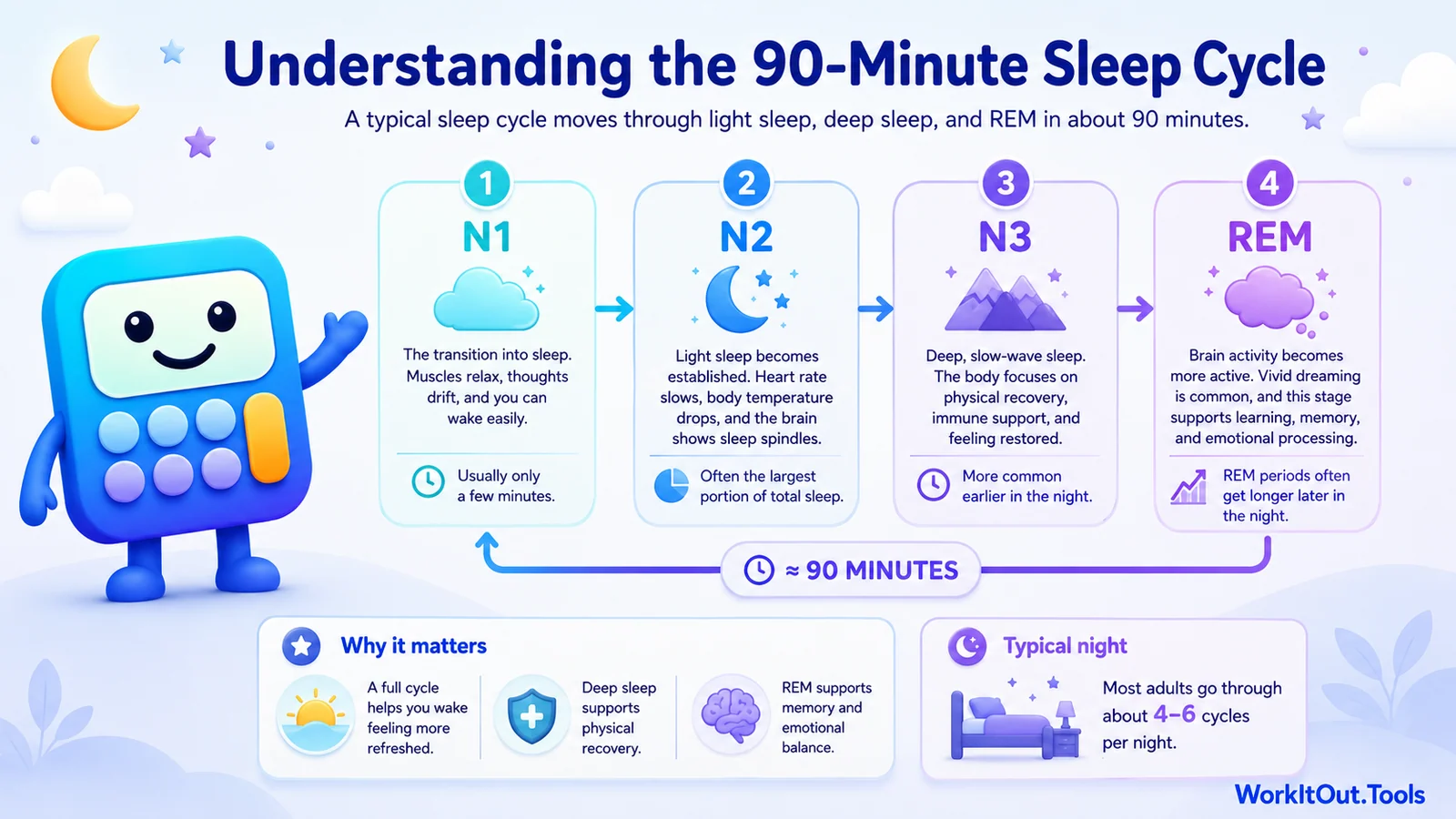 Understanding the 90-minute sleep cycle diagram showing N1, N2, N3, and REM sleep stages, why a full cycle matters, and how most adults repeat cycles through the night